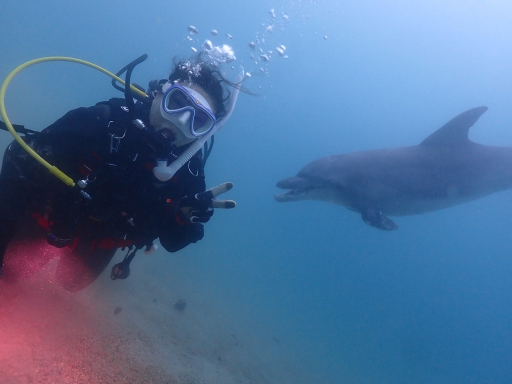 ムラクモ イヅミ様