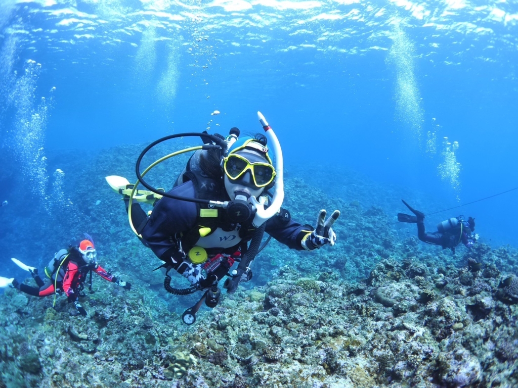 イシダ マヤコ様