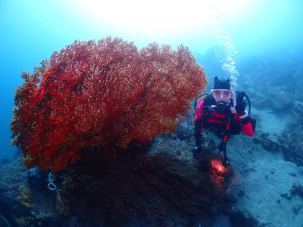 Y.T様（会社員）