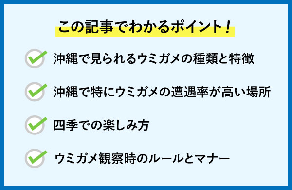 沖縄で見られるウミガメと遭遇率が高い場所
