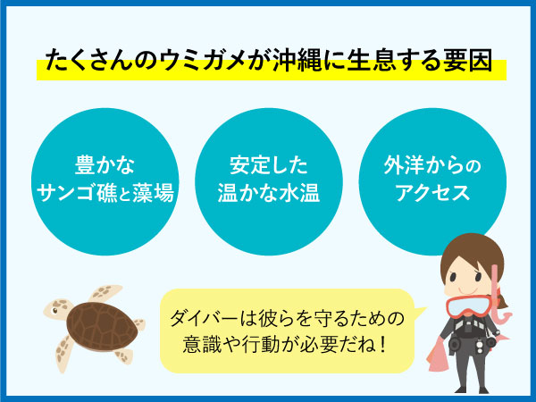 ウミガメが沖縄に生息する要因