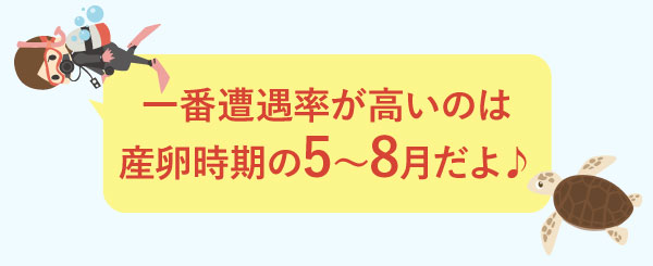 ウミガメの遭遇率
