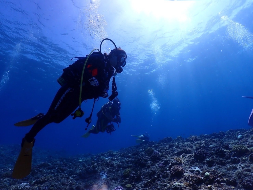 北井 絵美花（キタイ エミカ）様