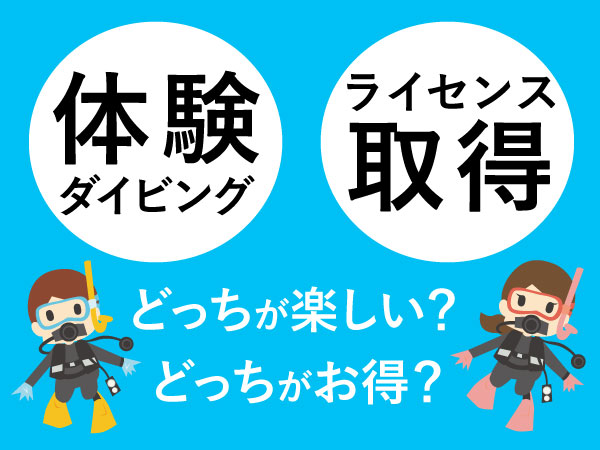 体験ダイビングとライセンス取得の違い