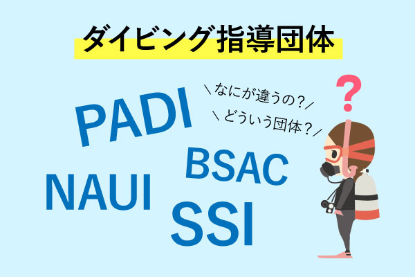 ダイビング指導団体の違い