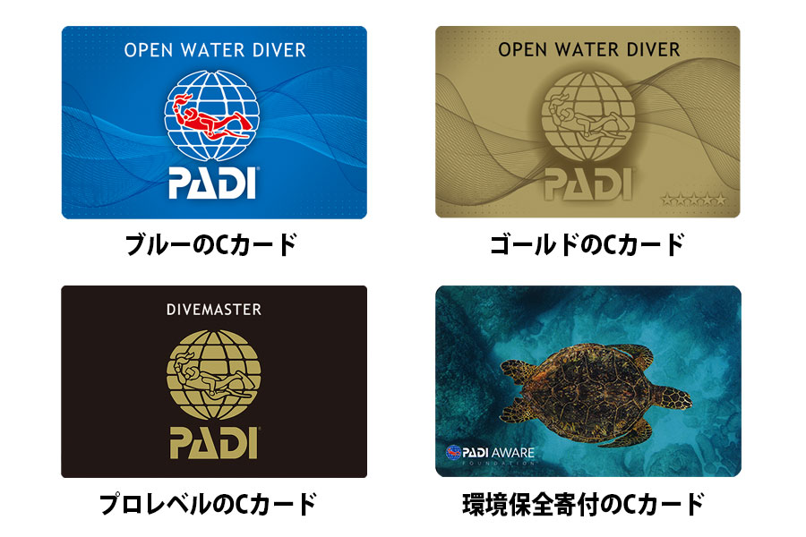 PADIのCカードはブルーとゴールド
