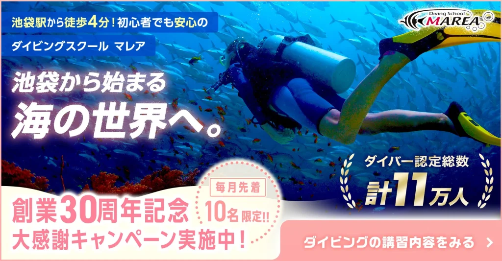 ダイビングスクールマレアのキャンペーン