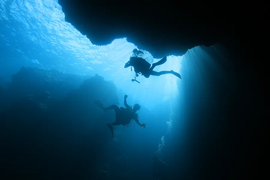 ダイビングのバディシステム