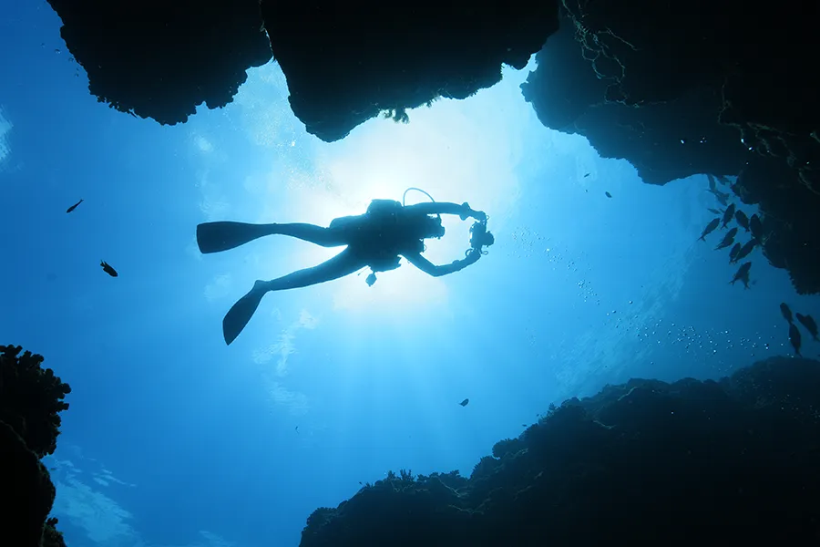ライセンス取得後に水中写真