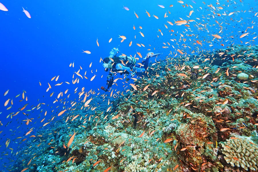 夏の宮古島でダイビング
