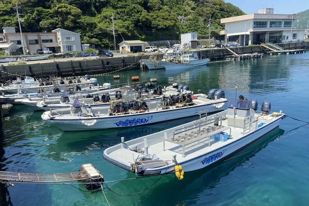 柏島のダイビングボート
