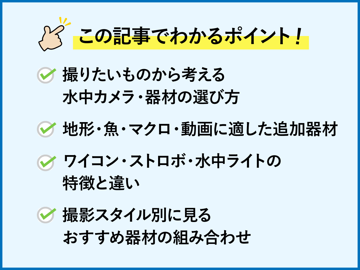 水中撮影　ポイント